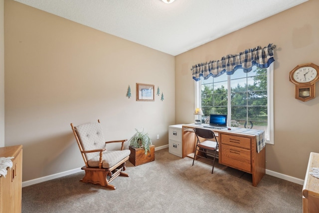 3157 Doneene Ln, Eagan, MN 55121 - home office with carpet flooring and baseboards