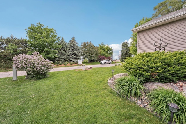 3157 Doneene Ln, Eagan, MN 55121 - view of green lawn