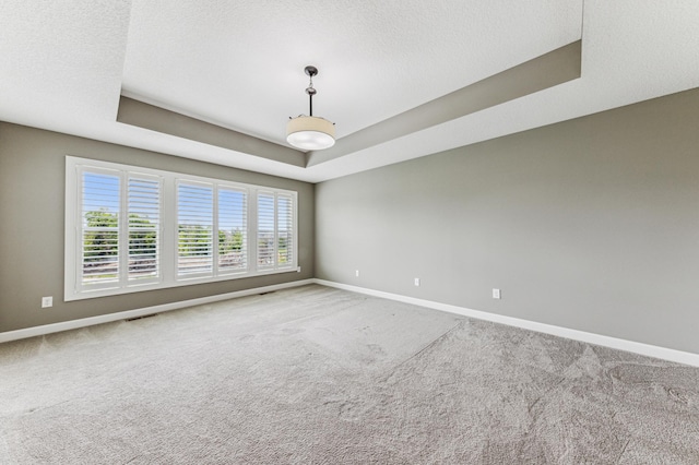 6005 Comstock Ln N, Plymouth, MN 55446 - unfurnished room with baseboards, a tray ceiling, and carpet flooring