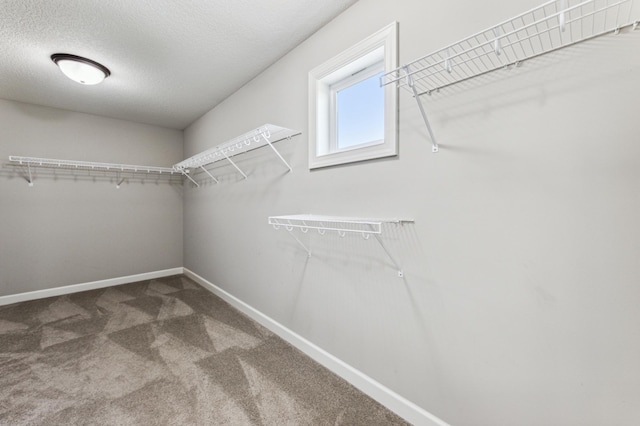 6005 Comstock Ln N, Plymouth, MN 55446 - spacious closet featuring carpet