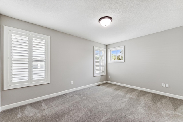 6005 Comstock Ln N, Plymouth, MN 55446 - spare room with carpet floors, baseboards, and a textured ceiling