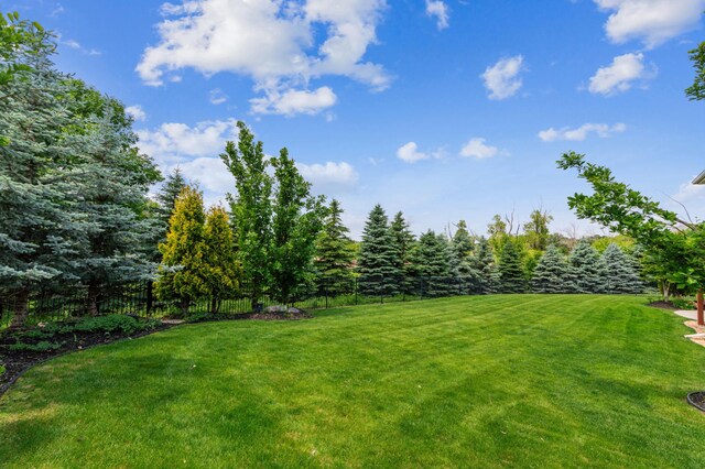 6005 Comstock Ln N, Plymouth, MN 55446 - view of yard