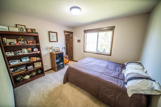 426 Creek Ave, Delano, MN 55328 - bedroom with light carpet and a textured ceiling