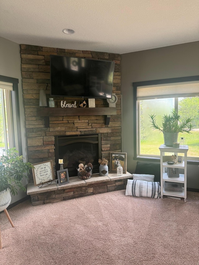 22592 43rd Ave, Saint Augusta, MN 56301 - living room featuring carpet, a fireplace, and a textured ceiling