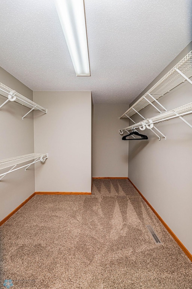 2717 88th Ave S, Fargo, ND 58104 - spacious closet with carpet