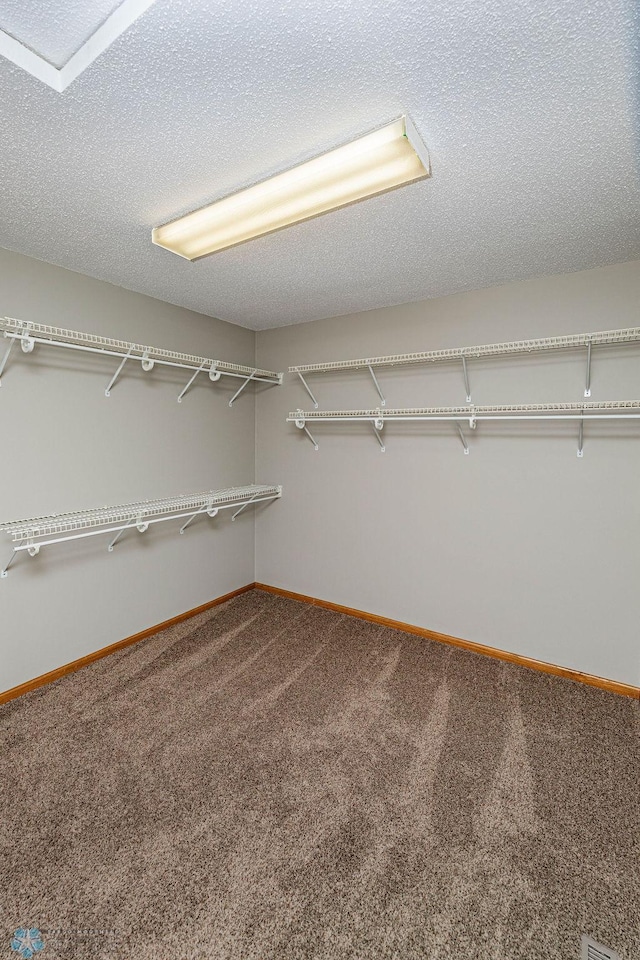 2717 88th Ave S, Fargo, ND 58104 - spacious closet featuring carpet floors