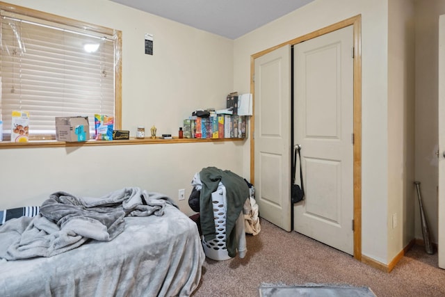 1599 Rice St, Saint Paul, MN 55117 - bedroom featuring carpet floors and a closet