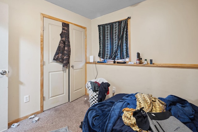 1599 Rice St, Saint Paul, MN 55117 - view of carpeted bedroom