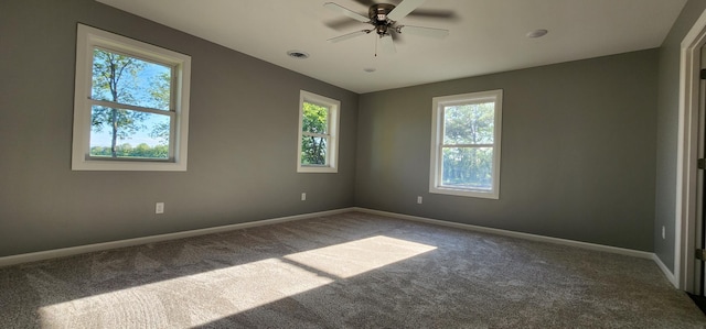 13386 Palomino Rd, Bertha Twp, MN 56437 - carpeted empty room with healthy amount of natural light, baseboards, and ceiling fan