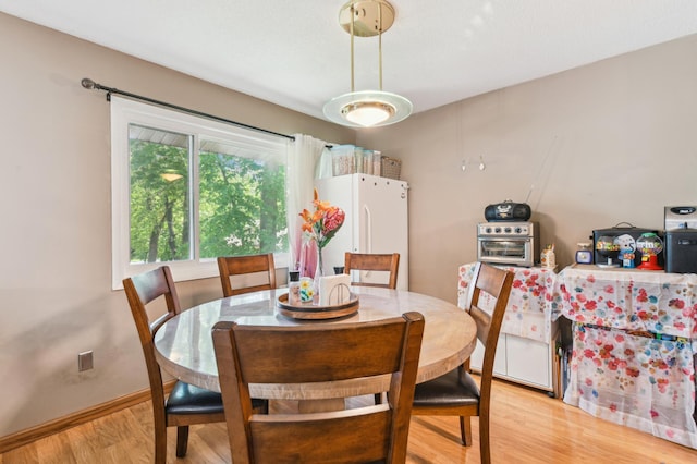 1351 4th St W, Hastings, MN 55033 - dining room with light wood-style flooring and baseboards