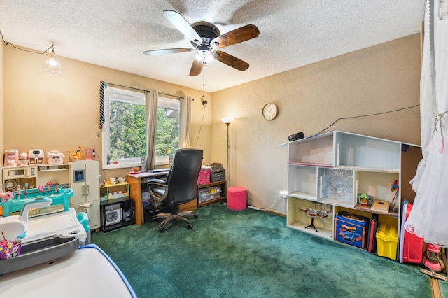 1351 4th St W, Hastings, MN 55033 - office featuring carpet flooring, a ceiling fan, and a textured ceiling