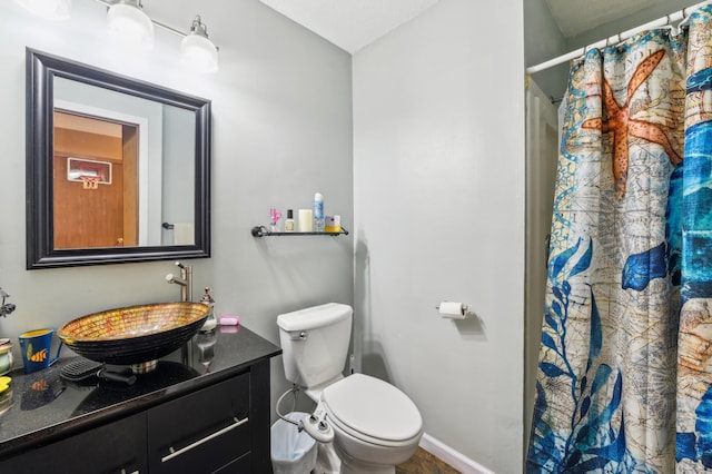1351 4th St W, Hastings, MN 55033 - full bathroom with vanity, toilet, and a shower with curtain