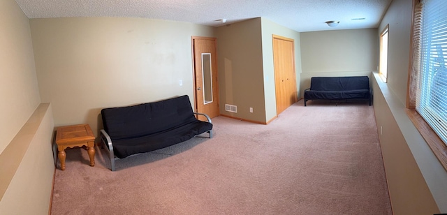 2434 1st St S, Saint Cloud, MN 56301 - sitting room featuring carpet floors and a textured ceiling