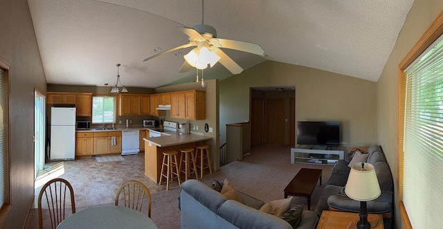 2434 1st St S, Saint Cloud, MN 56301 - living area with lofted ceiling, ceiling fan, and light carpet