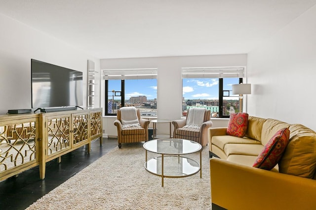 15 1st St Unit A1119, Minneapolis, MN 55401 - living area featuring wood finished floors