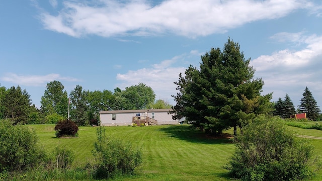 13786 188th Pl, Williams Twp, MN 56350 - view of grassy yard