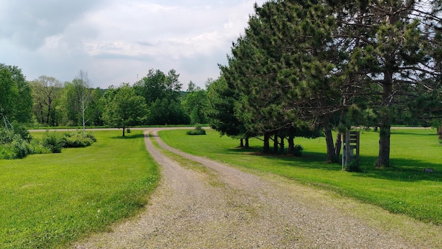 13786 188th Pl, Williams Twp, MN 56350 - view of home's community with driveway and a yard