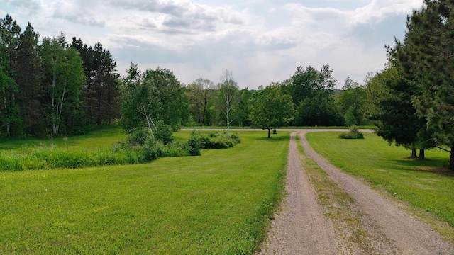 13786 188th Pl, Williams Twp, MN 56350 - surrounding community featuring driveway, a lawn, and a forest view
