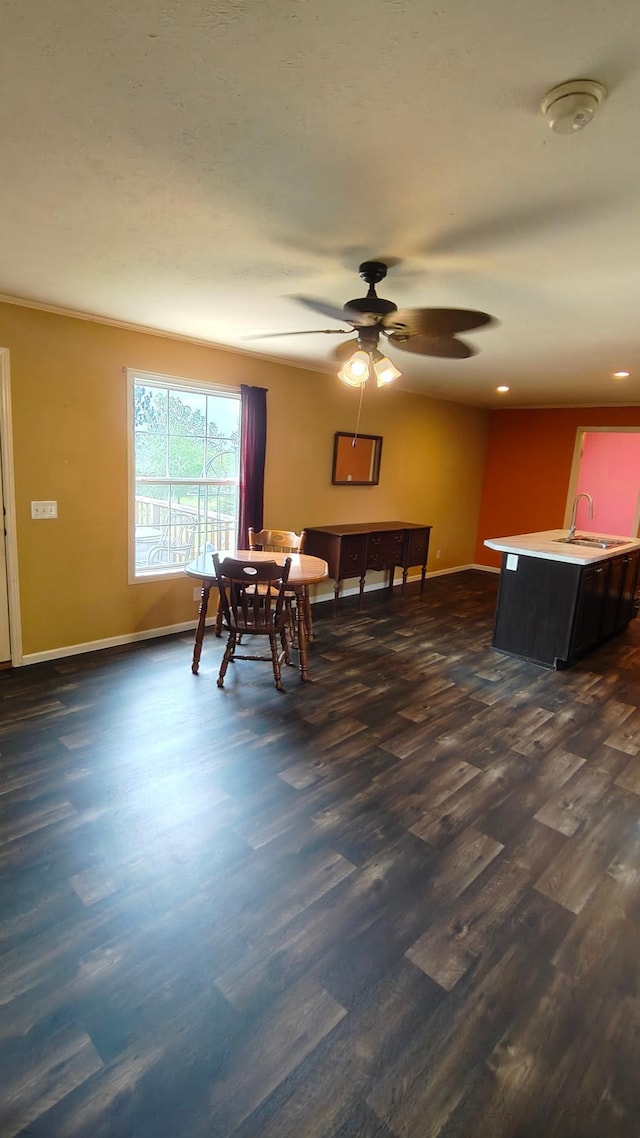 13786 188th Pl, Williams Twp, MN 56350 - dining space featuring dark wood-type flooring, baseboards, and a ceiling fan