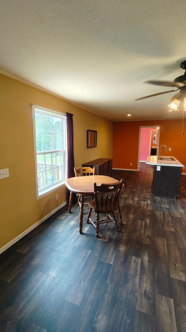 13786 188th Pl, Williams Twp, MN 56350 - dining area featuring dark wood-style flooring, a ceiling fan, baseboards, and ornamental molding