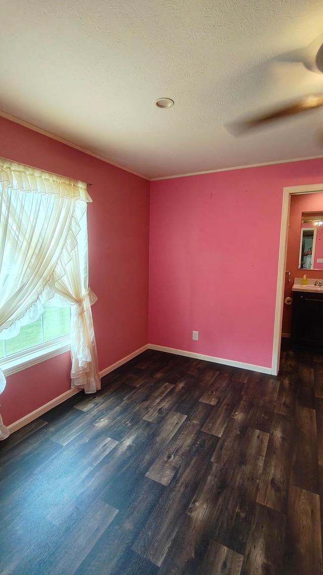 13786 188th Pl, Williams Twp, MN 56350 - spare room featuring wood finished floors and baseboards