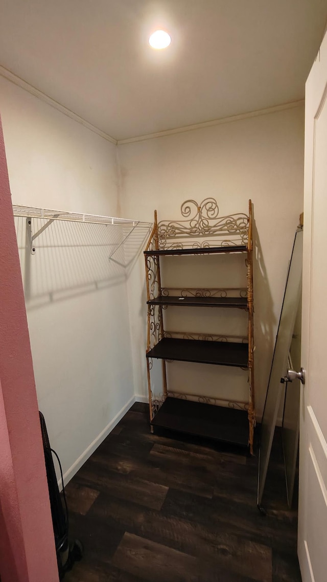 13786 188th Pl, Williams Twp, MN 56350 - walk in closet featuring wood finished floors