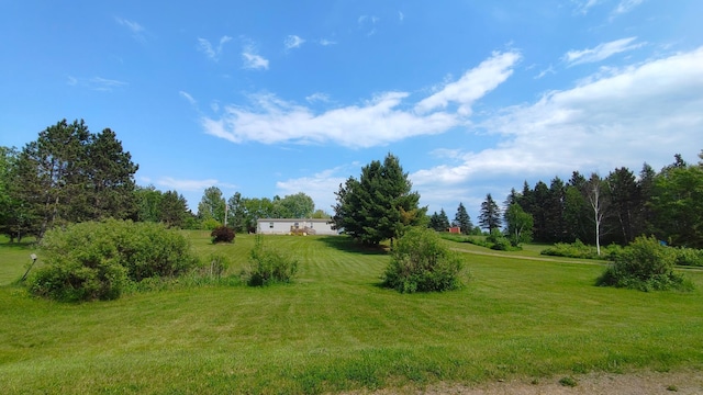 13786 188th Pl, Williams Twp, MN 56350 - view of grassy yard