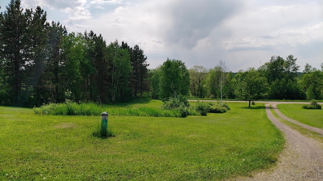 13786 188th Pl, Williams Twp, MN 56350 - view of property's community featuring dirt driveway and a yard