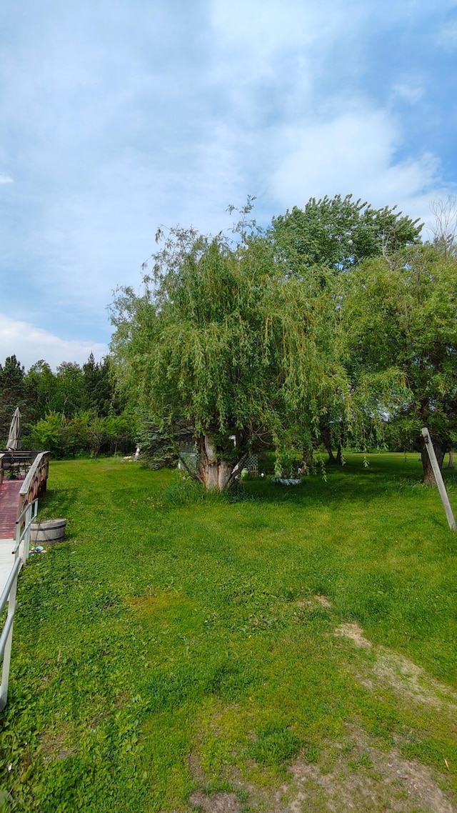 13786 188th Pl, Williams Twp, MN 56350 - view of grassy yard