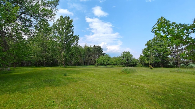 13786 188th Pl, Williams Twp, MN 56350 - view of green lawn