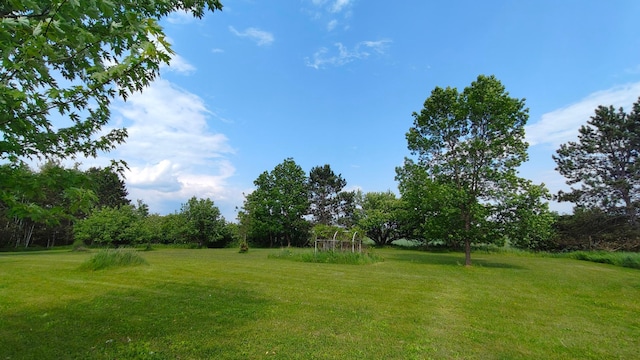 13786 188th Pl, Williams Twp, MN 56350 - view of grassy yard