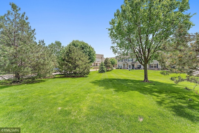 11206 Baltimore St NE Unit A, Blaine, MN 55449 - view of grassy yard