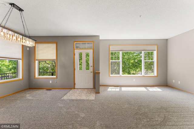 11206 Baltimore St NE Unit A, Blaine, MN 55449 - carpeted entryway featuring plenty of natural light, a textured ceiling, and baseboards