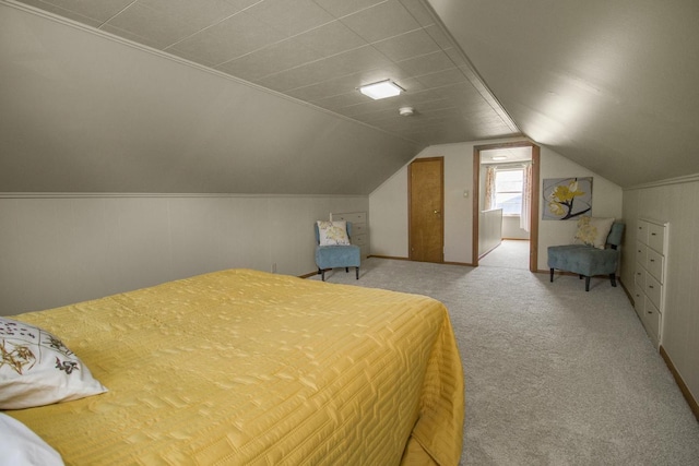 5349 47th Ave S, Minneapolis, MN 55417 - carpeted bedroom featuring vaulted ceiling