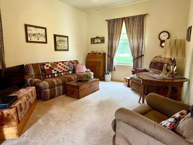 2100 Trott Ave SW, Willmar, MN 56201 - living area featuring carpet floors