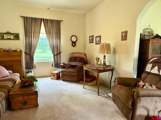 2100 Trott Ave SW, Willmar, MN 56201 - living room featuring arched walkways and carpet flooring