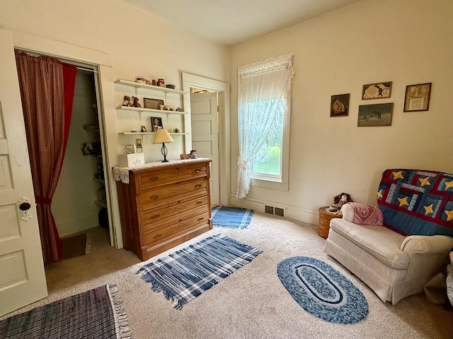 2100 Trott Ave SW, Willmar, MN 56201 - sitting room with carpet flooring