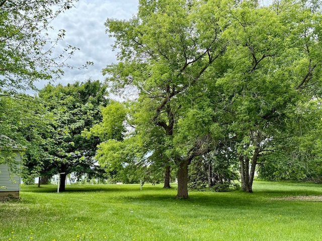 2100 Trott Ave SW, Willmar, MN 56201 - view of grassy yard