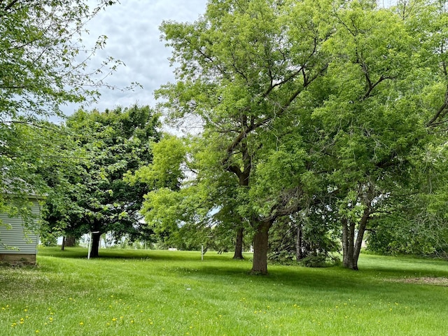 2100 Trott Ave SW, Willmar, MN 56201 - view of green lawn