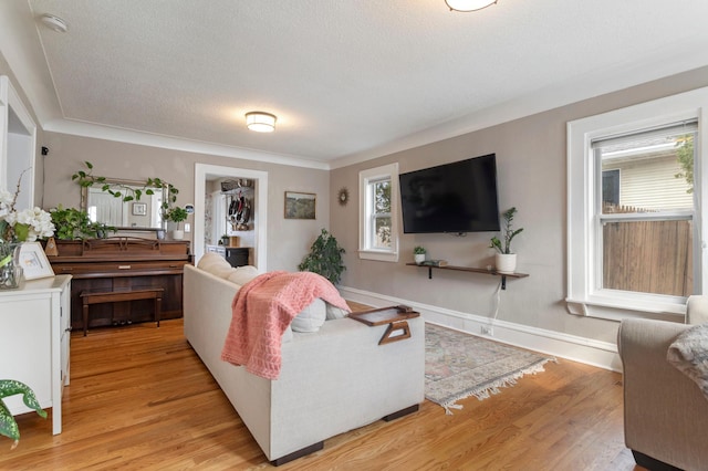 5236 42nd Ave S, Minneapolis, MN 55417 - living room featuring light wood-style floors, baseboards, and a textured ceiling