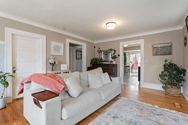 5236 42nd Ave S, Minneapolis, MN 55417 - living room featuring light wood finished floors, a textured ceiling, and baseboards