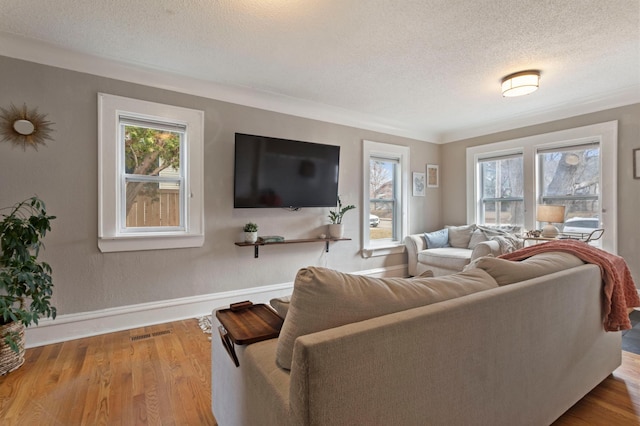 5236 42nd Ave S, Minneapolis, MN 55417 - living area with healthy amount of natural light, a textured ceiling, wood finished floors, and baseboards