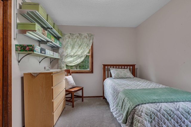 11236 207th Ave NW, Elk River, MN 55330 - bedroom featuring light carpet
