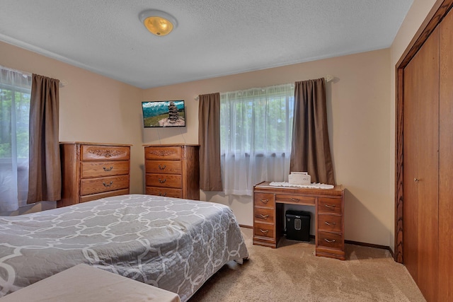 11236 207th Ave NW, Elk River, MN 55330 - bedroom with multiple windows, carpet flooring, a textured ceiling, and baseboards