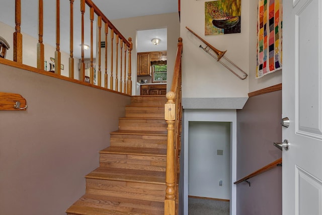 11236 207th Ave NW, Elk River, MN 55330 - stairs with carpet flooring