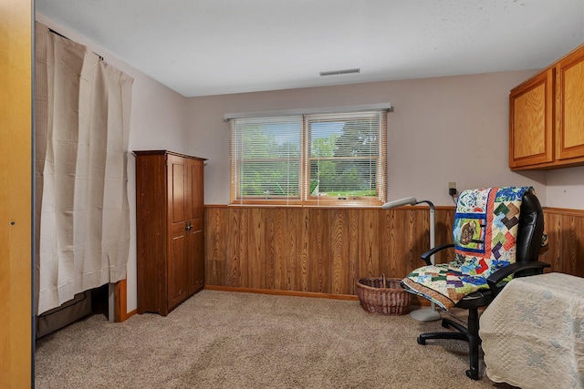 11236 207th Ave NW, Elk River, MN 55330 - living area featuring wooden walls, a wainscoted wall, and carpet flooring