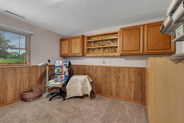 11236 207th Ave NW, Elk River, MN 55330 - living area with wooden walls, a wainscoted wall, and carpet floors