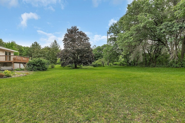 11236 207th Ave NW, Elk River, MN 55330 - view of green lawn with a wooden deck