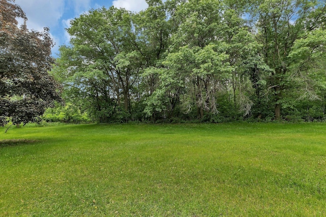11236 207th Ave NW, Elk River, MN 55330 - view of green lawn