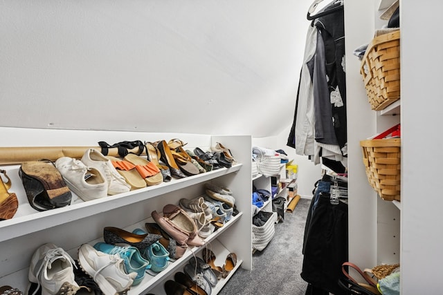 5604 14th Ave S, Minneapolis, MN 55417 - spacious closet with carpet flooring